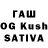 Псилоцибиновые грибы Cubensis kati sticker