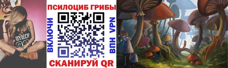 hydra рабочий сайт  мориарти телеграм  Псилоцибиновые грибы GOLDEN TEACHER  Рыльск 
